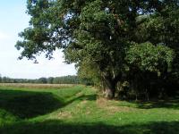 Klik op de foto voor groter formaat